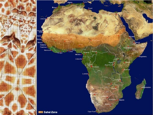 К югу от Сахары пустыню сменяет засушливая полоса — САХЕЛЬ, ЧТО ПО-АРАБСКИ ОЗНАЧАЕТ «БЕРЕГ»  (имеется в виду «берег», то есть граница песков Сахары). В пределах сахеля соседствуют полупустыни и сухие саванны. Жизнь в зоне сахеля очень тяжела из-за частых и продолжительных засух, которые приводят к упадку земледелия. Южнее сахеля раскинулись настоящие СУБЭКВАТОРИАЛЬНЫЕ САВАННЫ С ИХ БОГАТЕЙШЕЙ травянистой растительностью и редкими деревьями. К странам Северной Африки относятся: Алжир, Египет, Ливия, Мавритания, Марокко, Судан, Тунис, Западная Сахара. К Северной Африке также часто относят Канарские острова, Мадейру, Эфиопию и Эритрею.