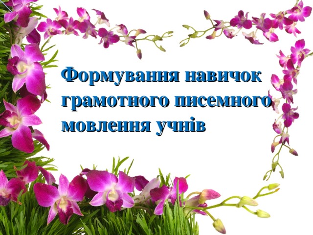 Формування навичок грамотного писемного мовлення учнів