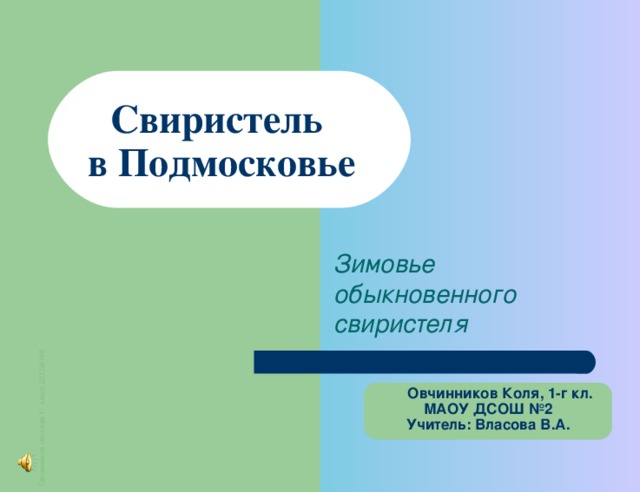 Овчинников Николай 1Г класс ДСОШ №2 Свиристель  в  Подмосковье Зимовье обыкновенного свиристеля  Овчинников Коля, 1-г кл. МАОУ ДСОШ №2 Учитель: Власова В.А.