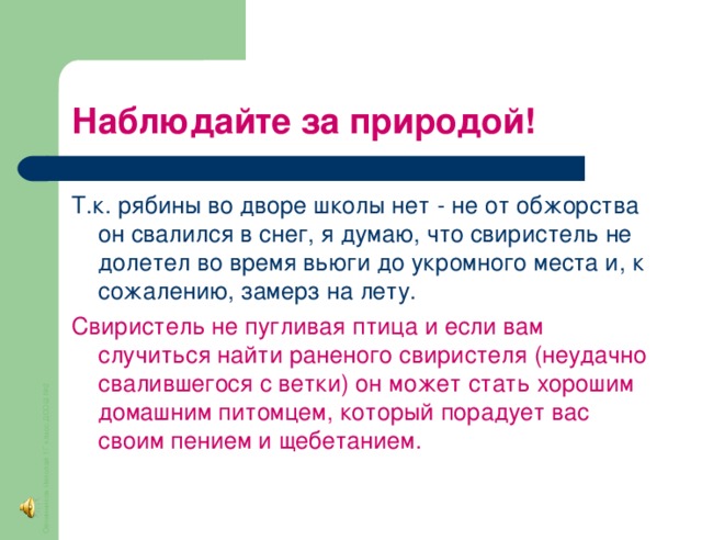 Овчинников Николай 1Г класс ДСОШ №2 Наблюдайте за природой! Т.к. рябины во дворе школы нет - не от обжорства он свалился в снег, я думаю, что свиристель не долетел  во время вьюги до укромного места и, к сожалению, замерз на лету. Свиристель не пугливая птица и если вам случиться найти раненого свиристеля (неудачно свалившегося с ветки) он может стать хорошим домашним питомцем, который порадует вас своим пением и щебетанием.