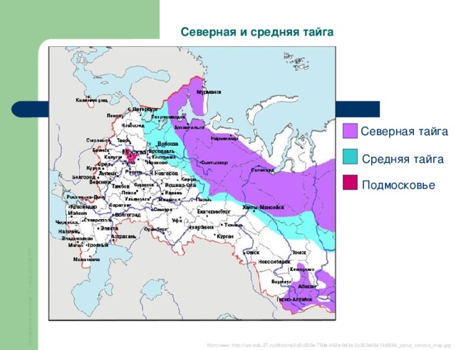 Овчинников Николай 1Г класс ДСОШ №2 Северная и средняя тайга Северная тайга Средняя тайга Подмосковье Источник: http://cor.edu.27.ru/dlrstore/2a5c505e-75de-492e-9d3a-2c350e98419d/684_parus_cinctus_map.jpg