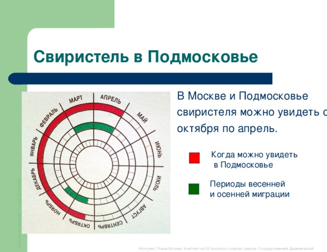 Овчинников Николай 1Г класс ДСОШ №2 Свиристель в Подмосковье В Москве и Подмосковье свиристеля можно увидеть с октября по апрель. Когда можно увидеть  в Подмосковье Периоды весенней и осенней миграции Источник: Птицы Москвы. Комплект из 32 открыток с компакт диском. Государственный Дарвиновский музей.