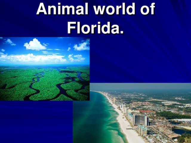 Animal world of Florida.
