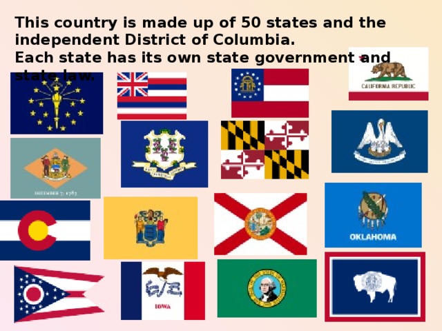 This country is made up of 50 states and the independent District of Columbia.  Each state has its own state government and state law.