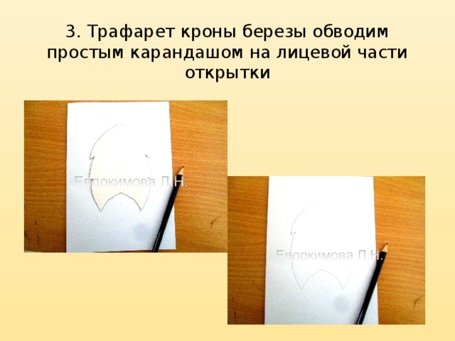 3.  Трафарет кроны березы обводим простым карандашом на лицевой части открытки