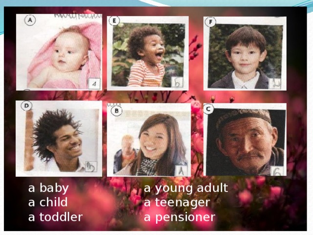 a young adult a baby a teenager a child a pensioner a toddler