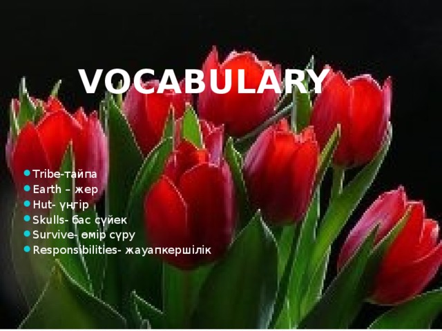 VOCABULARY  