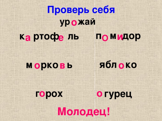 Проверь себя   о ур жай п м дор  ябл ко  гурец к ртоф ль  м рко ь  г рох   и а е О в о о о о Молодец!