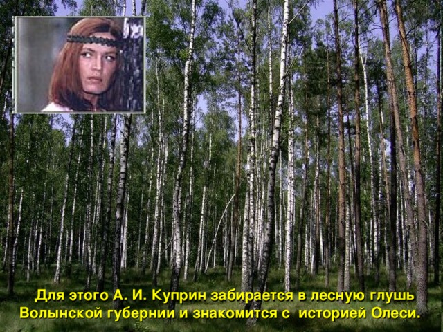 Для этого А. И. Куприн забирается в лесную глушь Волынской губернии и знакомится с историей Олеси.