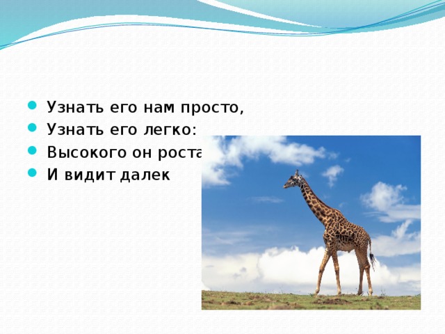 Узнать его нам просто,  Узнать его легко:  Высокого он роста  И видит далек