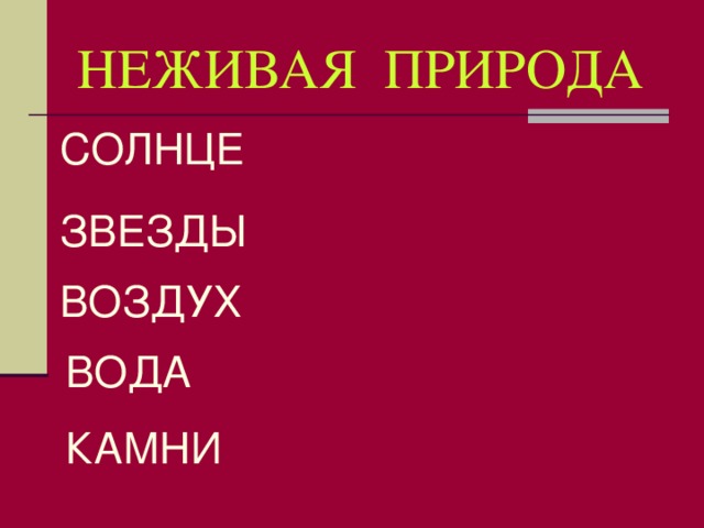 НЕЖИВАЯ ПРИРОДА СОЛНЦЕ ЗВЕЗДЫ ВОЗДУХ  ВОДА КАМНИ