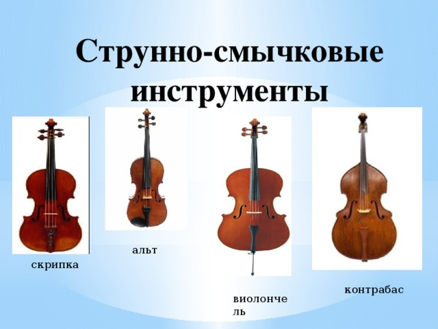 Струнно-смычковые инструменты альт скрипка контрабас виолончель