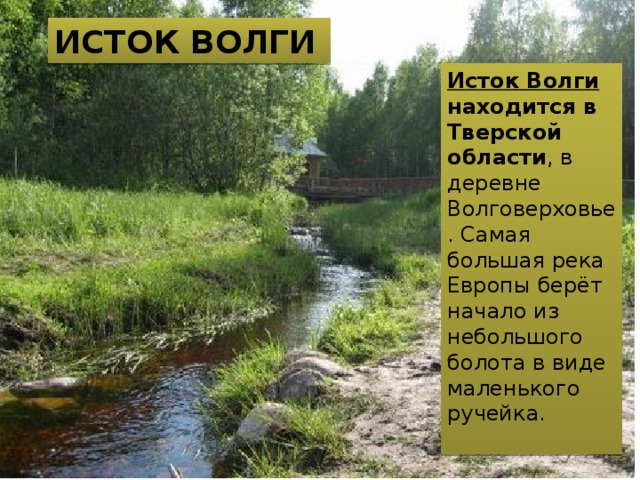 ИСТОК ВОЛГИ Исток Волги находится в Тверской области , в деревне Волговерховье. Самая большая река Европы берёт начало из небольшого болота в виде маленького ручейка. 