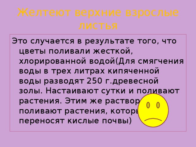 Желтеют верхние взрослые листья Это случается в результате того, что цветы поливали жесткой, хлорированной водой(Для смягчения воды в трех литрах кипяченной воды разводят 250 г.древесной золы. Настаивают сутки и поливают растения. Этим же раствором поливают растения, которые не переносят кислые почвы)