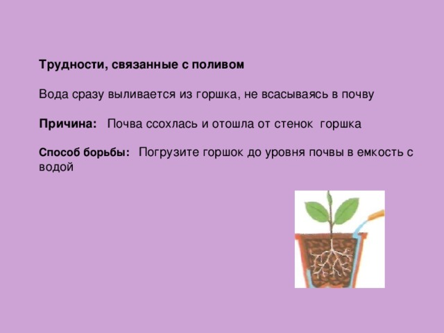 Трудности, связанные с поливом Вода сразу выливается из горшка, не всасываясь в почву  Причина: Почва ссохлась и отошла от стенок горшка  Способ борьбы: Погрузите горшок до уровня почвы в емкость с водой