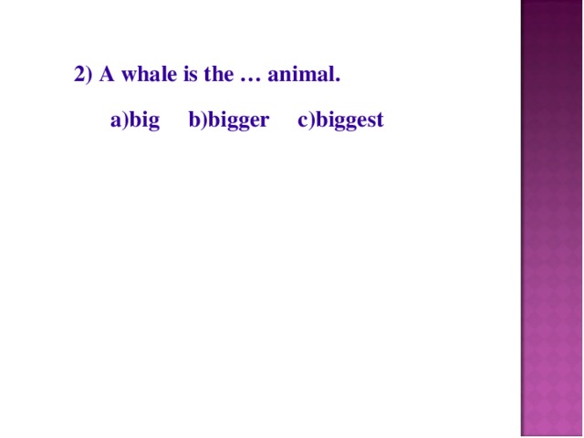 2) A whale is the … animal.  a)big b)bigger c)biggest