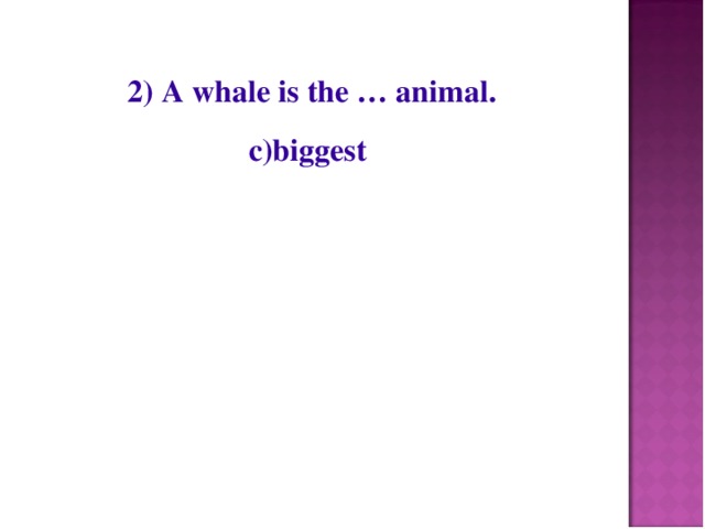 2) A whale is the … animal.  c)biggest
