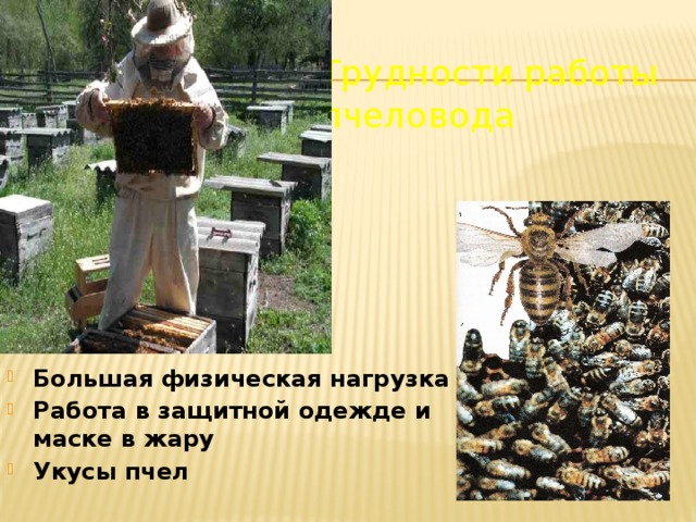 Трудности работы пчеловода