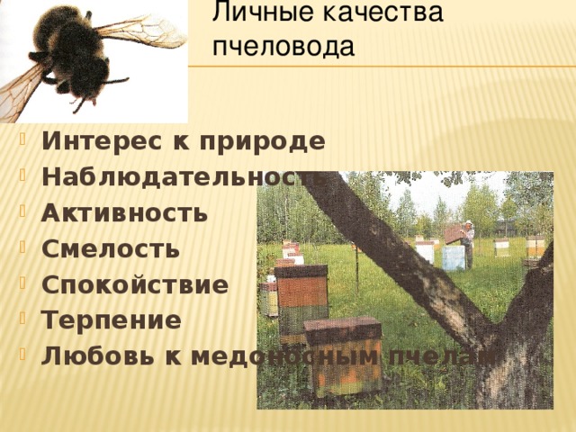 Личные качества пчеловода