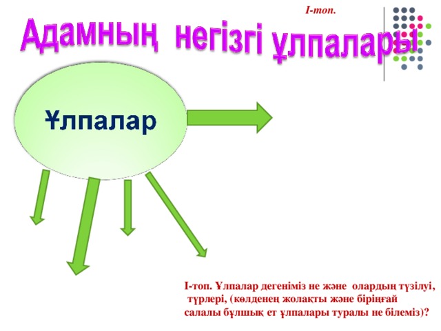 І-топ. І-топ. Ұлпалар дегеніміз не және олардың түзілуі, түрлері, (көлденең жолақты және біріңғай салалы бұлшық ет ұлпалары туралы не білеміз)?