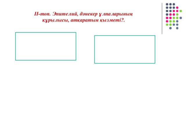 ІІ-топ. Эпителий, дәнекер ұлпаларының құрылысы, атқаратын қызметі?.