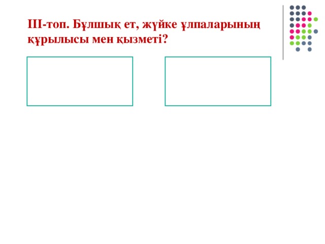 ІІІ-топ. Бұлшық ет, жүйке ұлпаларының құрылысы мен қызметі?