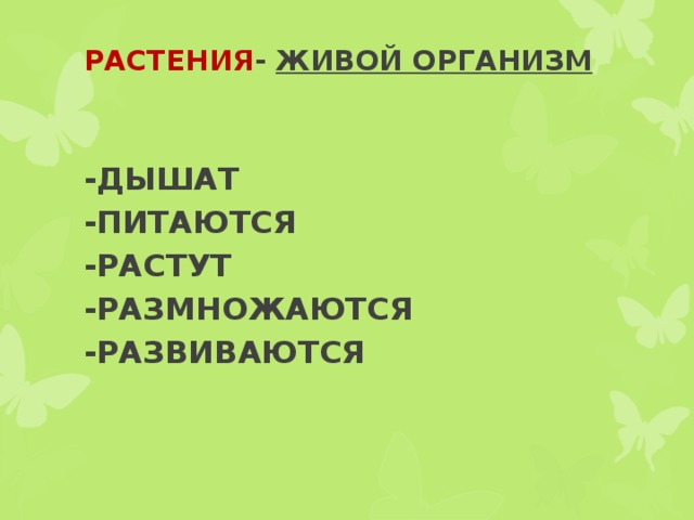 РАСТЕНИЯ - ЖИВОЙ ОРГАНИЗМ   -ДЫШАТ -ПИТАЮТСЯ -РАСТУТ -РАЗМНОЖАЮТСЯ -РАЗВИВАЮТСЯ