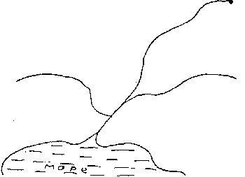 Рисунок части реки 2 класс окружающий мир