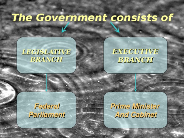 The Government consists of LEGISLATIVE BRANCH EXECUTIVE BRANCH Federal Parliament Prime Minister And Cabinet