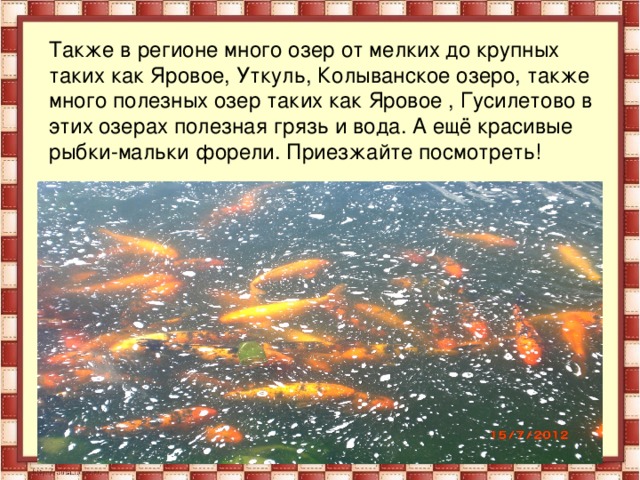 Также в регионе много озер от мелких до крупных таких как Яровое, Уткуль, Колыванское озеро, также много полезных озер таких как Яровое , Гусилетово в этих озерах полезная грязь и вода. А ещё красивые рыбки-мальки форели. Приезжайте посмотреть!