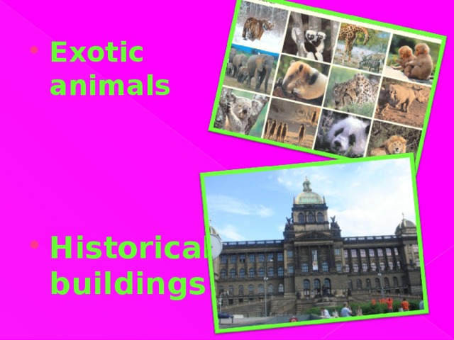Exotic animals      Historical buildings