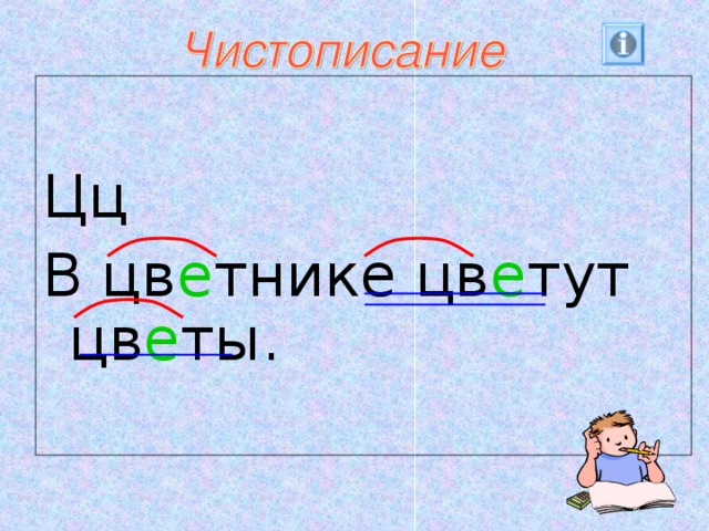 Цц В цв е тнике цв е тут цв е ты.