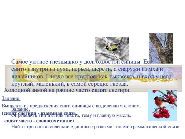 Самое уютное гнездышко у долгохвостой синицы. Ее гнездо свито изнутри из пуха, перьев, шерсти, а снаружи из мха и лишайников. Гнездо все круглое, как тыквочка, и вход у него круглый, маленький, в самой середке гнезда.     Задание.   Определить тип и стиль текста, тему и главную мысль.  Найти три синтаксические единицы с разными типами грамматической связи   Холодной зимой на рябине часто сидят снегири. Задание. Выписать из предложения синт.  единицы с выделенным словом.  (сидят снегири - взаимная связь,  сидят часто - словосочетание)