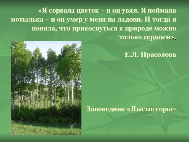 «Я сорвала цветок – и он увял. Я поймала мотылька – и он умер у меня на ладони. И тогда я поняла, что прикоснуться к природе можно только сердцем ».   Е.Л. Прасолова        Заповедник «Лысые горы »