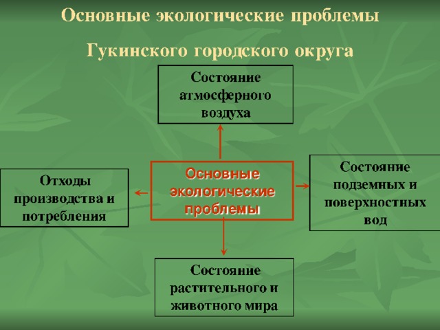 Группа старшеклассников работает над проектом экологическая ситуация в нашем крае проблемы