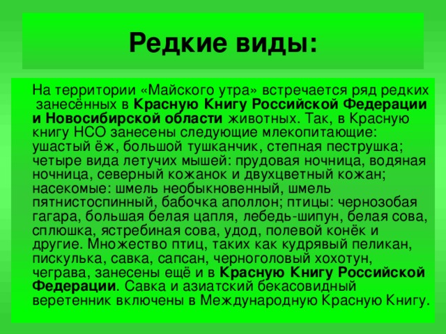 Редкие виды:  На территории «Майского утра» встречается ряд редких занесённых в Красную Книгу Российской Федерации и Новосибирской области животных. Так, в Красную книгу НСО занесены следующие млекопитающие: ушастый ёж, большой тушканчик, степная пеструшка; четыре вида летучих мышей: прудовая ночница, водяная ночница, северный кожанок и двухцветный кожан; насекомые: шмель необыкновенный, шмель пятнистоспинный, бабочка аполлон; птицы: чернозобая гагара, большая белая цапля, лебедь-шипун, белая сова, сплюшка, ястребиная сова, удод, полевой конёк и другие. Множество птиц, таких как кудрявый пеликан, пискулька, савка, сапсан, черноголовый хохотун, чеграва, занесены ещё и в Красную Книгу Российской Федерации . Савка и азиатский бекасовидный веретенник включены в Международную Красную Книгу.