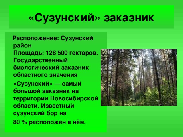 «Сузунский» заказник   Расположение: Сузунский район  Площадь: 128 500 гектаров. Государственный биологический заказник областного значения  «Сузунский» — самый большой заказник на территории Новосибирской области. Известный сузунский бор на  80 % расположен в нём.