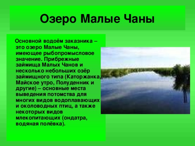 Озеро Малые Чаны  Основной водоём заказника – это озеро Малые Чаны, имеющее рыбопромысловое значение. Прибрежные займища Малых Чанов и несколько небольших озёр займищного типа (Каторжанка, Майское утро, Полуденник и другие) – основные места выведения потомства для многих видов водоплавающих и околоводных птиц, а также некоторых видов млекопитающих (ондатра, водяная полёвка).