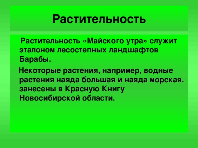 Растительность  Растительность «Майского утра» служит эталоном лесостепных ландшафтов Барабы.  Некоторые растения, например, водные растения наяда большая и наяда морская. занесены в Красную Книгу Новосибирской области.