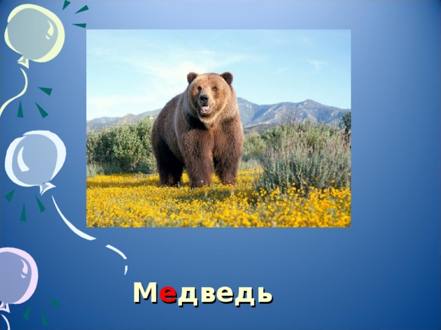 М е дведь