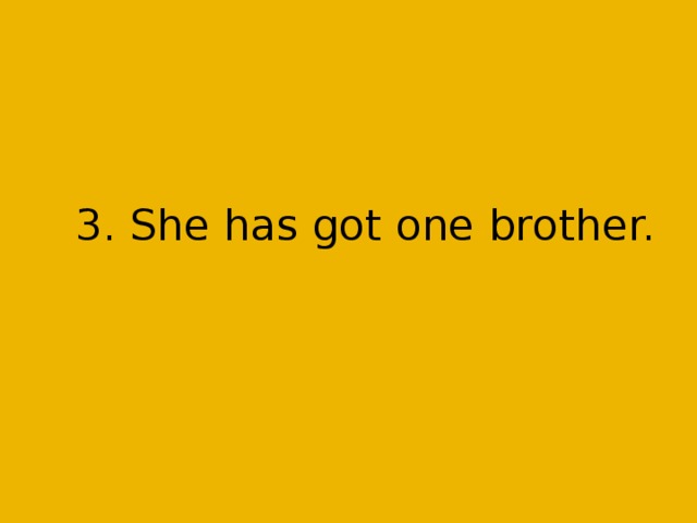 3. She has got one brother.