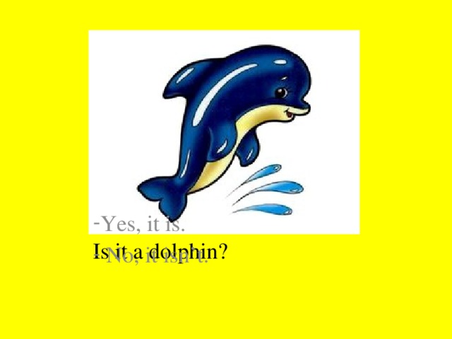 Is it a dolphin?