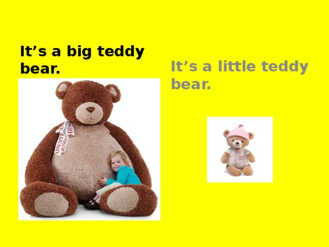 It’s a big teddy bear. It’s a little teddy bear.