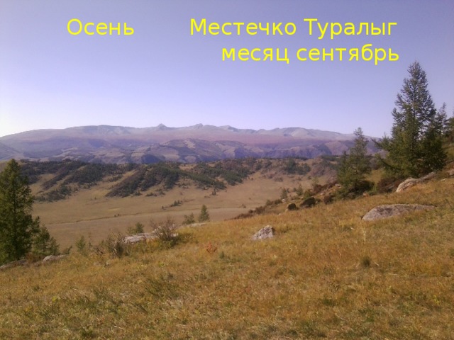 Осень Местечко Туралыг  месяц сентябрь