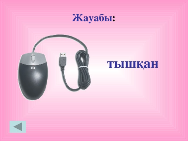 Жауабы : тышқан