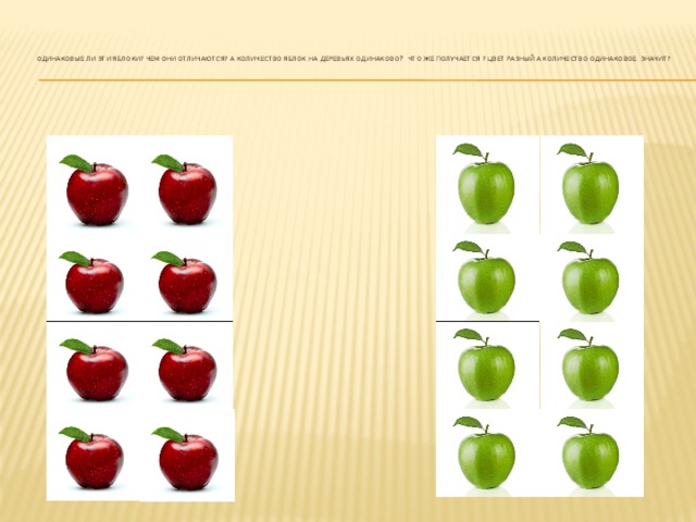 Одинаковые ли эти яблоки? Чем они отличаются? А количество яблок на деревьях одинаково ?  Что же получается ? Цвет разный а количество одинаковое. Значит?