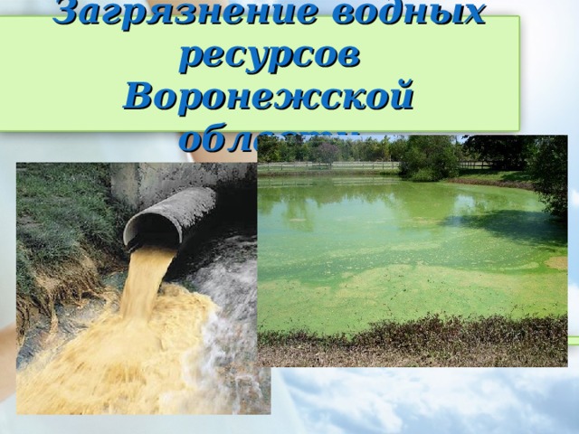 Загрязнение водных ресурсов Воронежской области