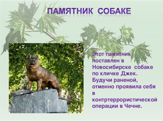 Этот памятник поставлен в Новосибирске собаке по кличке Джек. Будучи раненой, отменно проявила себя в контртеррористической операции в Чечне.
