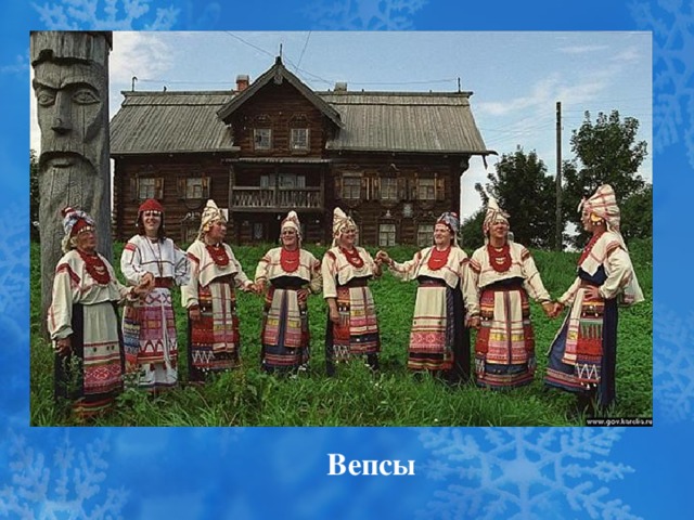 Вепсы