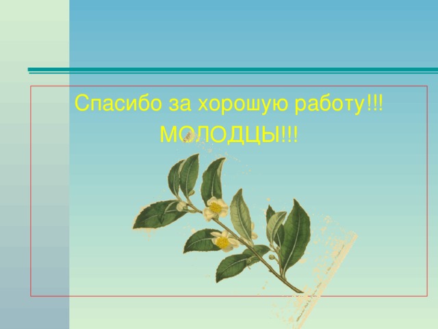 Спасибо за хорошую работу!!! МОЛОДЦЫ!!!